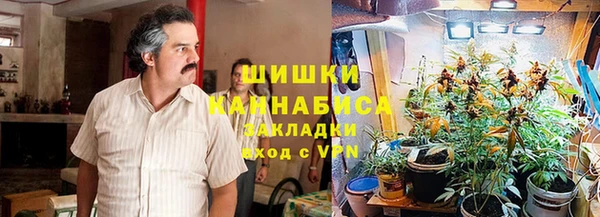 молекула духа Горно-Алтайск